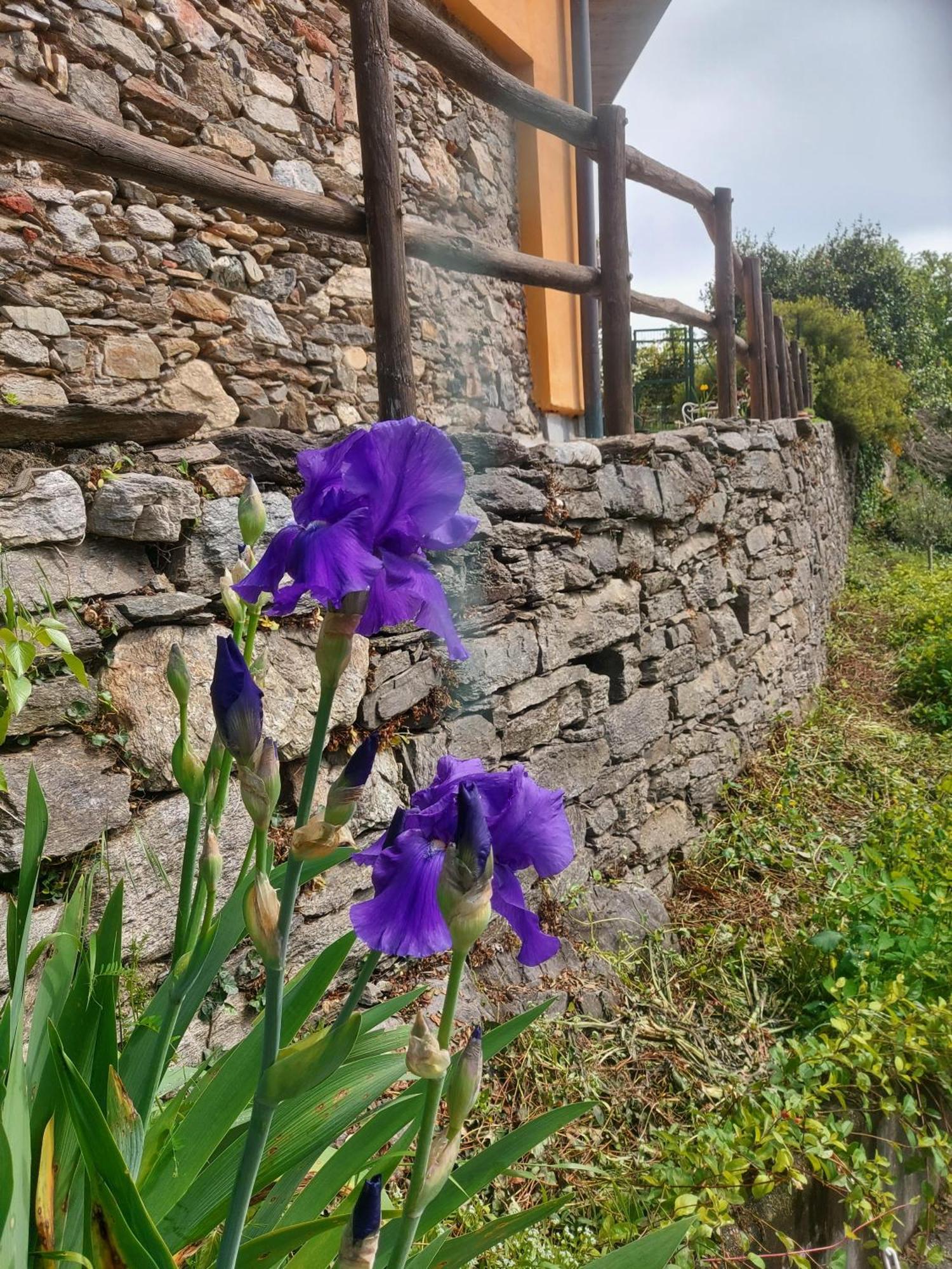 La Nave B&B Monteggio Eksteriør billede